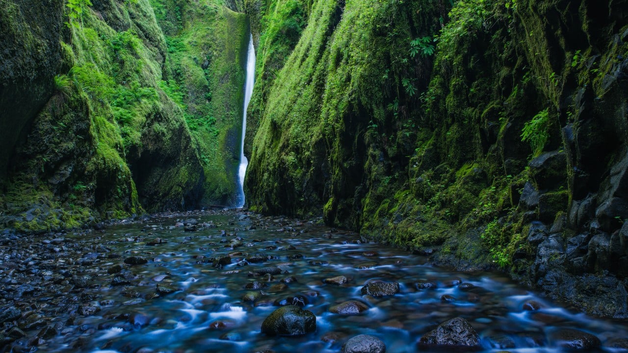 Oregon Radiology License Guide