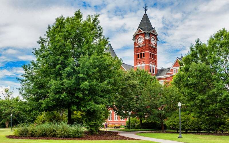 Alabama Nursing License Guide