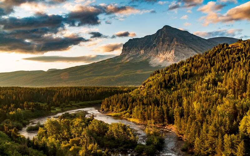 Montana Occupational Therapy License Guide