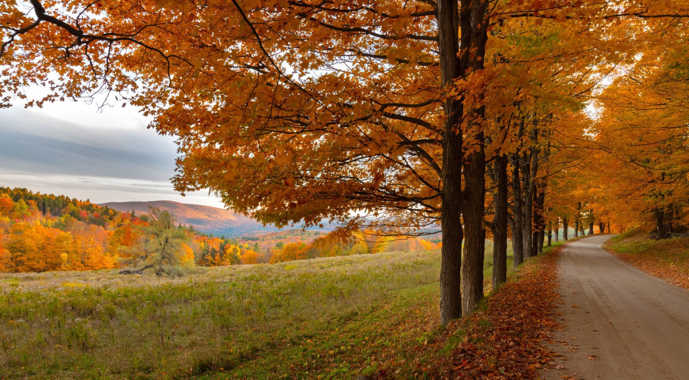 Vermont Nursing License Guide